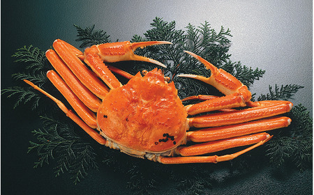 【倉吉魚市】ボイル松葉がに（特大）ボイル前 1kg以上 松葉ガニ ズワイガニ