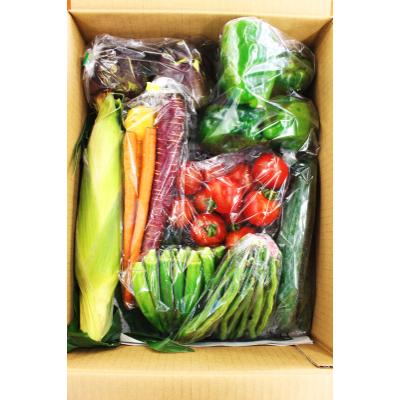 ふるさと納税 南房総市 季節のお野菜詰め合わせ　mi0047-0001 |  | 02