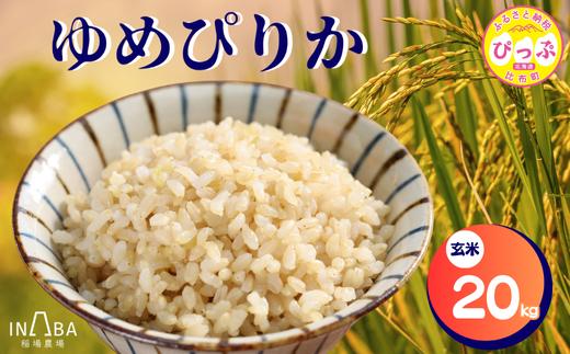 稲場農場　ゆめぴりか　玄米　20kg