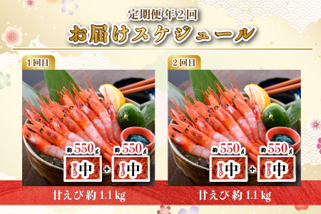 【年2回お届け】絶品甘えびを三国港からお届け！甘海老を海の上で食べる！ 漁船直送 船内瞬間冷凍 甘えび 約1.1㎏ × 2回 計2.2㎏ 【定期便 海老 えび エビ アマエビ あまえび 甘海老 赤エビ