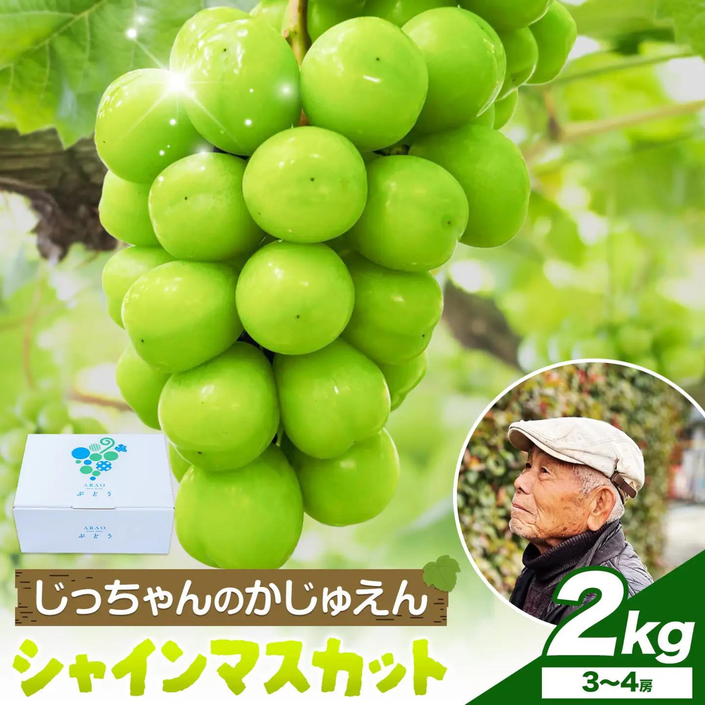 シャインマスカット 2kg じっちゃんのかじゅえん《8月上旬-9月下旬頃出荷》