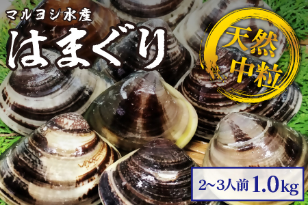 【指定日必須】マルヨシ水産　桑名産中粒天然蛤　1kg_はまぐり　ハマグリ　魚介　貝　魚貝　活はまぐり　焼きはま　海鮮　網焼き　酒蒸し　お吸い物　パエリア　パスタ