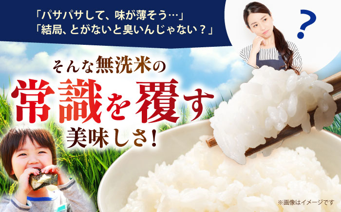 【全12回定期便】 さがびより 無洗米 3kg（3kg×1袋）【五つ星お米マイスター厳選】 特A米 特A評価 [HBL097]