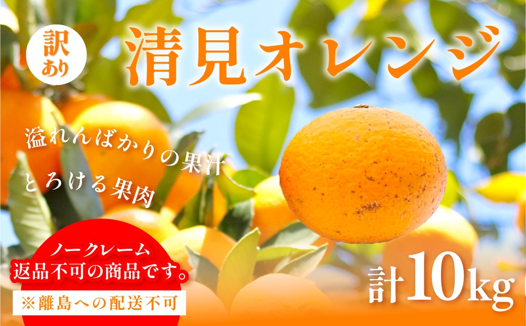 
                  【先行予約】訳あり 清見オレンジ計10kg ※離島への配送不可（2027年3月上旬頃より順次発送予定）  【ふるさと納税 人気 おすすめ ランキング 柑橘 みかん ミカン オレンジ 清見 清見オレンジ 訳あり フルーツ 果物 くだもの 旬 愛媛県産 愛媛みかん 浅野農園 愛媛県 伊方町 送料無料】 IKTAC009 
                