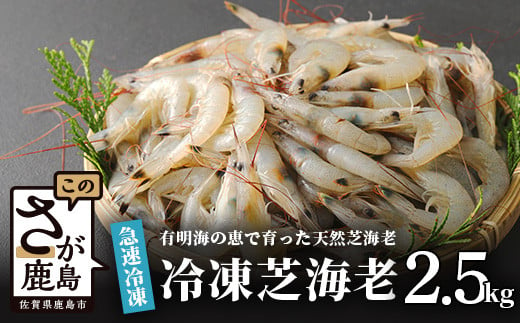 冷凍芝エビ 真エビ 2.5kg 500g × 5パック 芝海老 エビ 海老 真エビ 真海老 天然 海老のから揚げ ふるさと納税 佐賀県 鹿島市 B-357