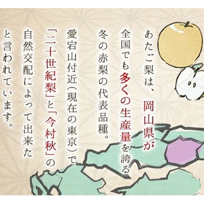 岡山県産　あたご梨  3～6玉  4kg【配送不可地域：離島・北海道・沖縄県】