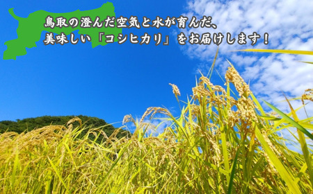 Y1074 鳥取県産「コシヒカリ」精白米15kg（令和7年産）