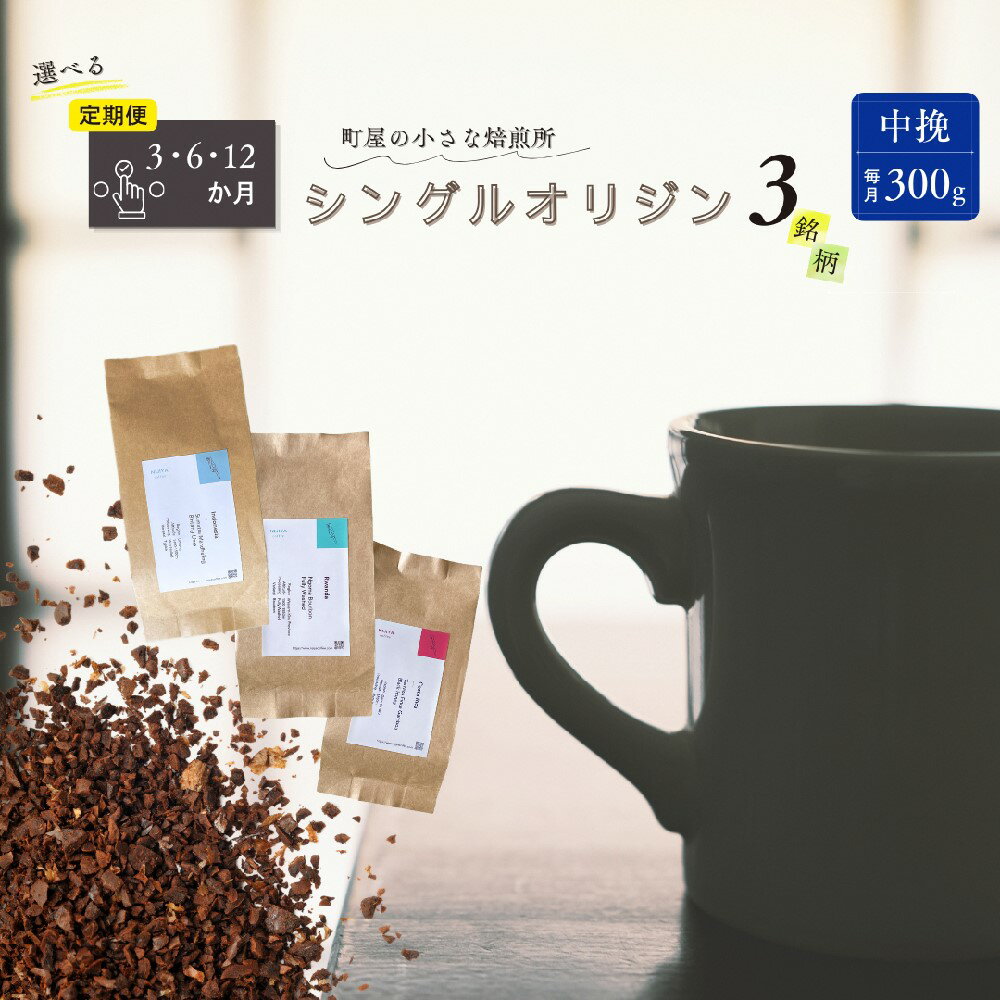 【ふるさと納税】【定期便】【選べるコース】シングルオリジンコーヒー100g × 3品種（中挽き）計300g×3ヶ月・6ヶ月・12ヶ月　｜　 オリジナルブレンド 自家焙煎 珈琲 コーヒー豆 珈琲豆 ブラックコーヒー coffee 中挽 毎月 1075016 1075018 1075022