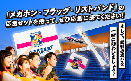 テゲバジャーロ宮崎　応援グッズ3点セット テゲバ 応援 グッズ