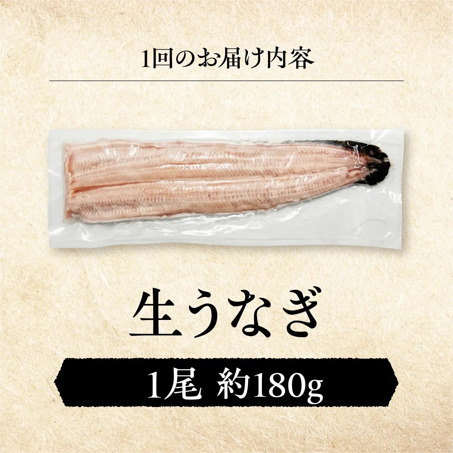 【全6回定期便】 鰻 美陵鰻の生鰻 1尾 / 美陵鰻 鰻 うなぎ ウナギ 蒲焼 蒲焼き かば焼き 白焼き 白焼 肉厚 うな重 うな丼 タレ 山椒 国産 スタミナ 土用 丑の日 土用の丑の日 贈答 ギフ