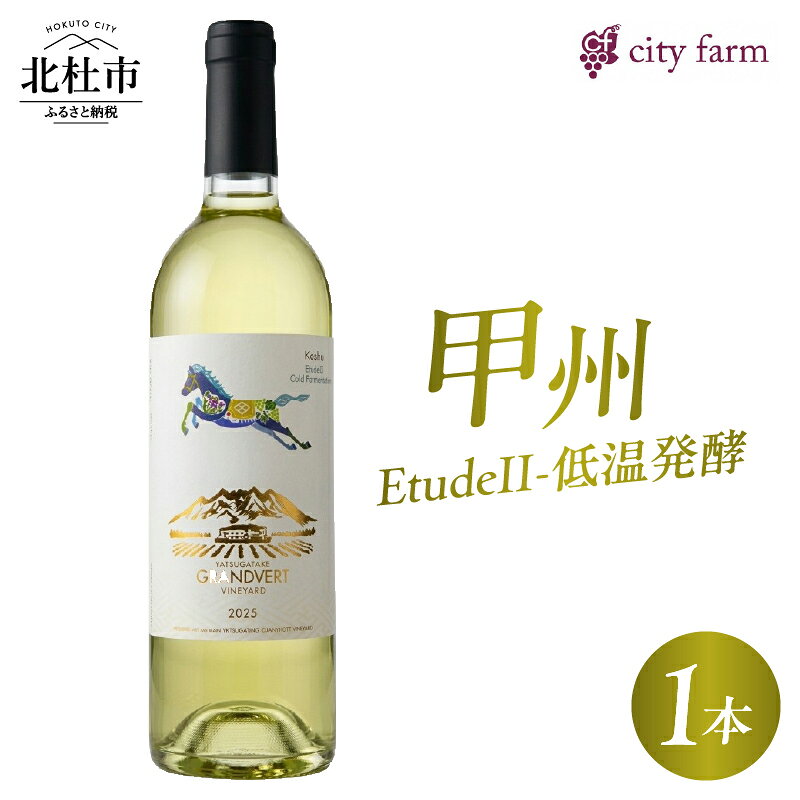 【ふるさと納税】 ワイン 白ワイン 甲州 2025 750ml 1本 EtudeII 低温発酵 アルコール度数 11.5％ 国産ワイン 山梨県産 韮崎産 果実味 すっきり ぶどう 葡萄 お酒 アルコール 晩酌 記念日 贈り物 贈答 プレゼント 母の日 父の日 送料無料