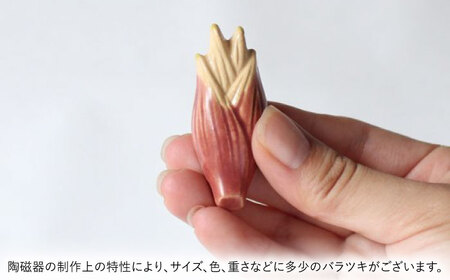 イホシロ窯　手作り　野菜(薬味)箸置き5種類　gf423【1247941】