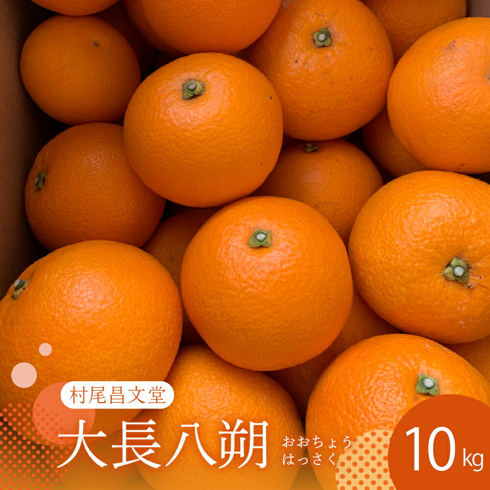 【ふるさと納税】【 2026年 2月 上旬～発送】瀬戸内 大崎下島産 大長八朔 10kg はっさく 八朔 みかん ミカン 柑橘 果物 フルーツ 甘い ジューシー お取り寄せ 常温配送 送料無料 瀬戸内 広島県 呉市