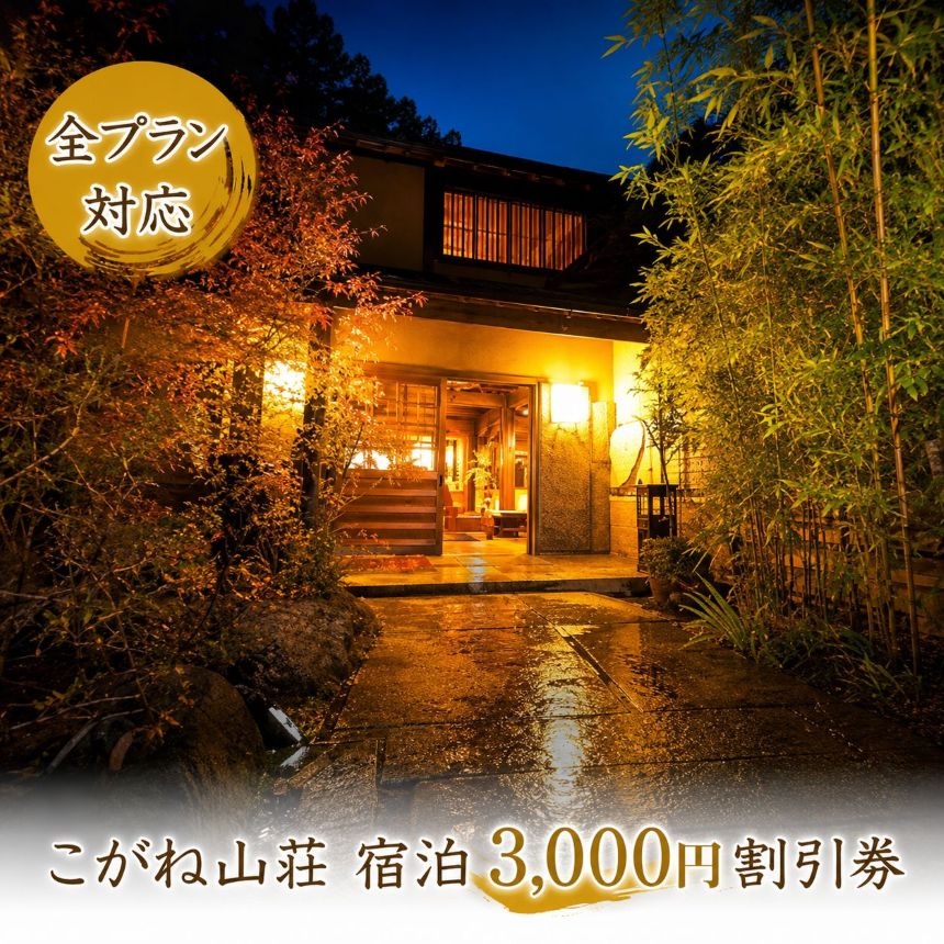 【ふるさと納税】八面山金色温泉 お宿こがね山荘 宿泊3,000円割引券 全プラン利用可 | チケット イベントチケット 宿泊 宿泊券 旅行 割引券 温泉 温泉旅行 旅 宿 大分県 中津市