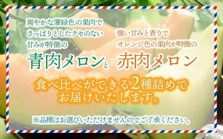 【令和8年産先行予約】 庄内砂丘青肉・赤肉メロン食べくらべ　 各1玉 (計2玉) 約2.5kg 山形県鶴岡市産　株式会社 元青果　| メロン めろん 青肉メロン 赤肉メロン 2.5キロ 山形 鶴岡 庄