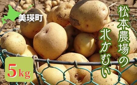 【令和７年産予約受付！】松本農場の北かむい5kg | じゃがいも じゃがいも じゃがいも じゃがいも じゃがいも じゃがいも [007-23]