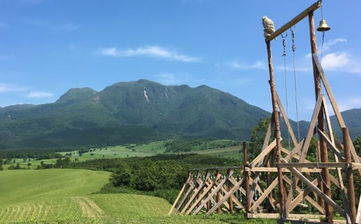 久住高原童心回帰農場の自然栽培 フローズン ブルーベリー 1㎏ 冷凍
