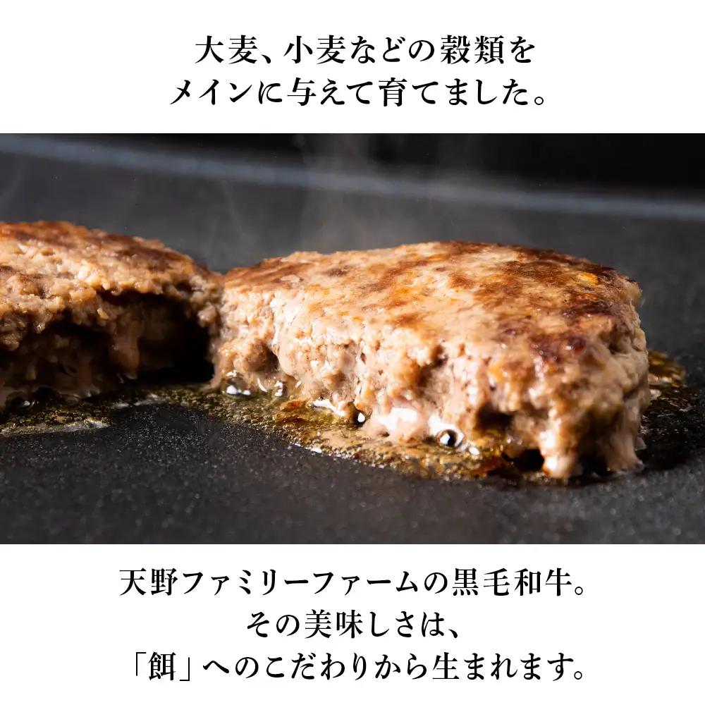 北海道 白老産 自家製 黒毛和牛 手ごね ハンバーグ 4枚セット BS047