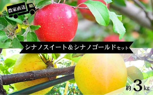 HF10-25A 【信州松川町産】シナノスイート＆シナノゴールド2種セット 約3kg／11月上旬発送予定 // 長野県 南信州 オリジナル品種 減農薬栽培 エコファーマー認証農家 りんご3兄弟 HF