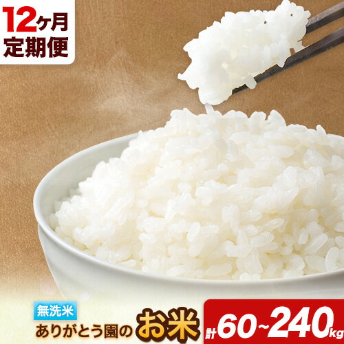 【ふるさと納税】【12ヶ月定期便】 令和7年産 米 岡山県産 ありがとう園のお米 無洗米 選べる 5kg 10kg 15kg 20kg ありがとう園《お申込み月の翌月から出荷開始》岡山県 矢掛町 無洗米 米 コメ 定期便 定期 きぬむすめ ひのひかり