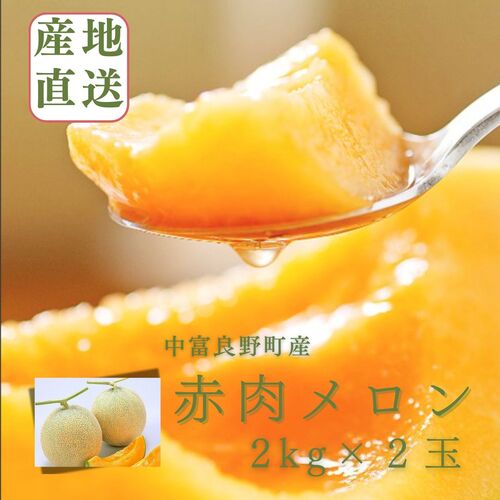 【ふるさと納税】【2025年発送】なかふらのメロン　2玉　計4kg