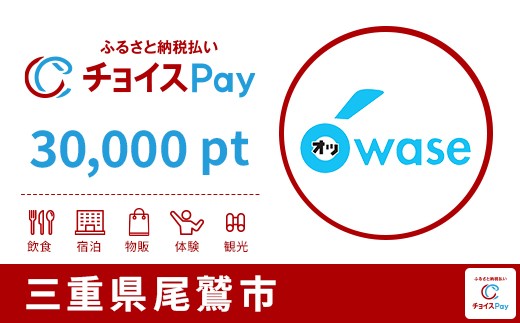 
            尾鷲市チョイスPay 30,000pt【会員限定のお礼の品】
          