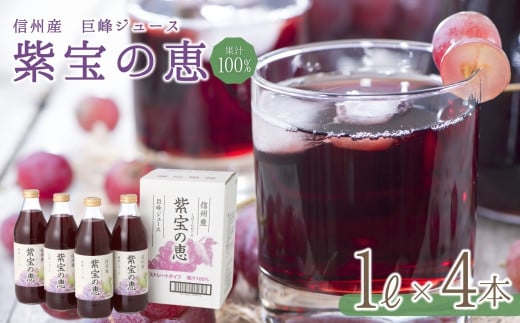 信州産 巨峰ジュース 「紫宝の恵」 ストレート果汁100％  (1L×4本)  葡萄 フルーツジュース ぶどうジュース 果物 ストレートジュース 千曲市 長野県 信州