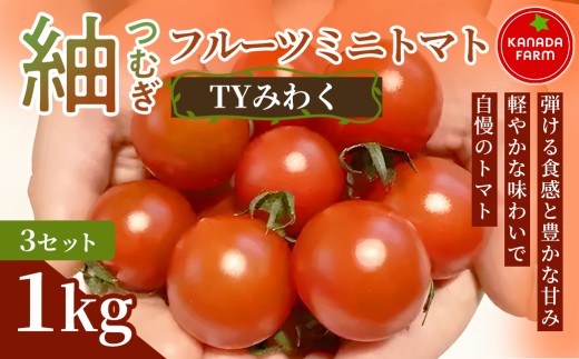 《先行予約》紬（つむぎ）フルーツミニトマト（TYみわく）1kg 3セット 甘い野菜 デザート感覚 おやつ スイーツ感覚 サラダ用 そのまま食べる 旬 家庭用 贈り物 日々の食卓 お取り寄せ 産地直送 愛知県 豊橋市