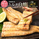 【ふるさと納税】［母の日］うなぎ白焼きギフト 2尾（150～200g/1尾あたり）宮崎県産鰻 蒲焼きタレ付（50ml×1本）