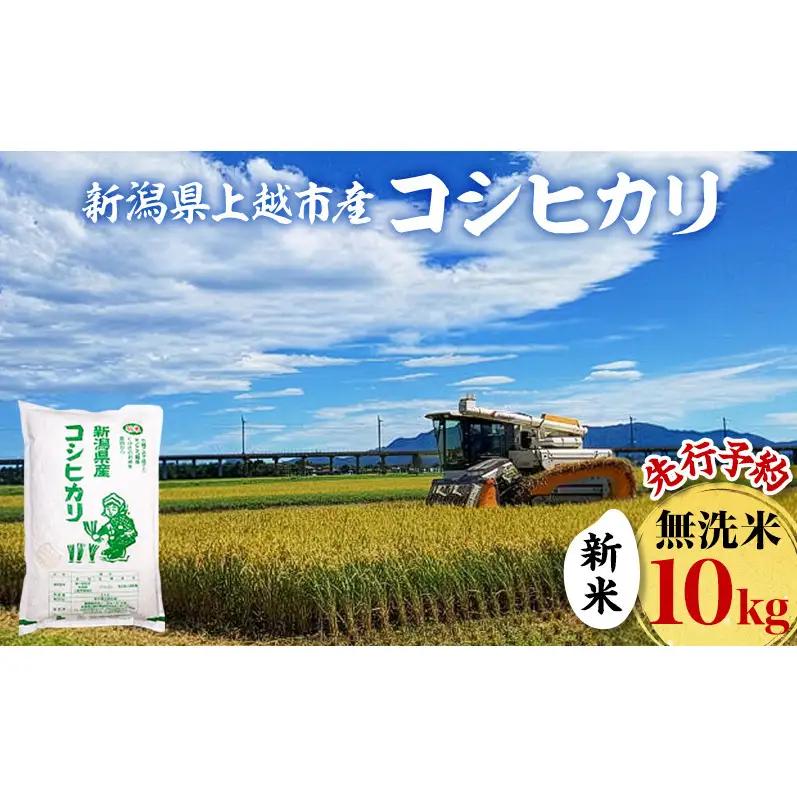 【先行予約】無洗米 コシヒカリ 10kg ふぁーむ大地 コシヒカリ