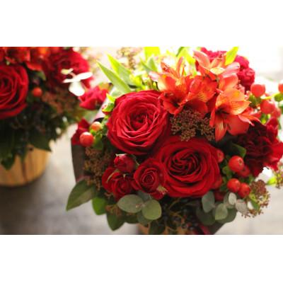 ふるさと納税 大津市 季節の花贈り