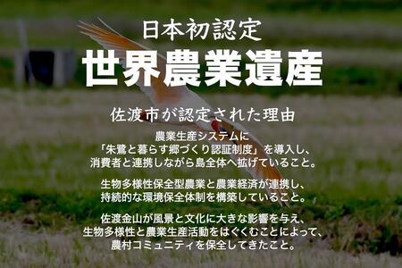 米 コシヒカリ 佐渡産 ( 5kg ) 棚田米 佐渡市歌見地区【令和7年米】