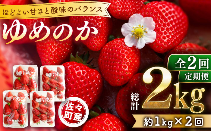 
            【発送月選択可能】【先行予約・全2回定期便】佐々町産 いちご 「ゆめのか」約1.0kg （250g×4パック）/回 （総量計2.0kg）【市丸農園 いちご研究室】 [QBF002]
          