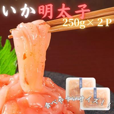 ふるさと納税 川崎町 【博多の珍味】いか明太子(250g×2p)(川崎町)