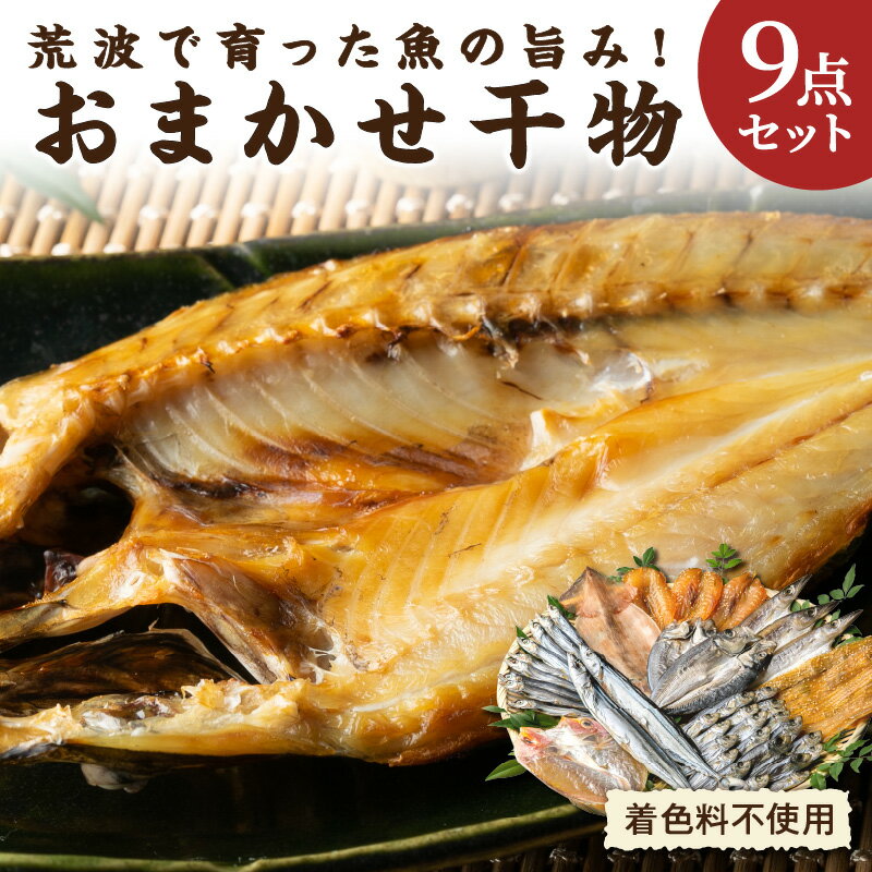 【ふるさと納税】マルミツ おまかせ干物9点セット【地元熊野灘で水揚げされた、着色料不使用の干物詰め合わせ】