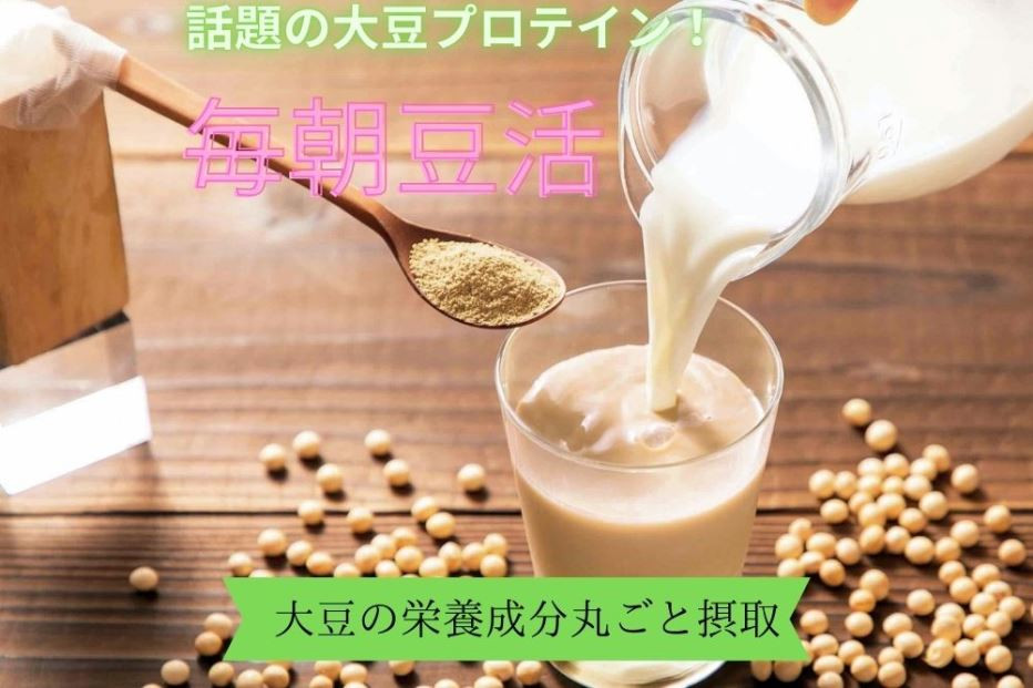 
毎朝豆活300g（和紅茶ブレンド）クリアボトル付 〈豆 ドリンク 大豆パウダー たんぱく質 プロテイン 酵素 国産 大豆 飲料 健康 美容 栄養 パウダー 乳飲料 ボトル サポート 食物繊維 〉 S0807
