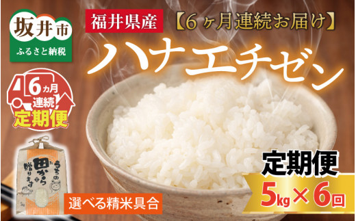 【先行予約】【令和8年産・新米】定期便 ≪6ヶ月連続お届け≫ ハナエチゼン5kg×6回 計30kg ～本原農園からまごころコメて～（玄米）【2026年9月上旬以降順次発送予定】 [F-8910_02]