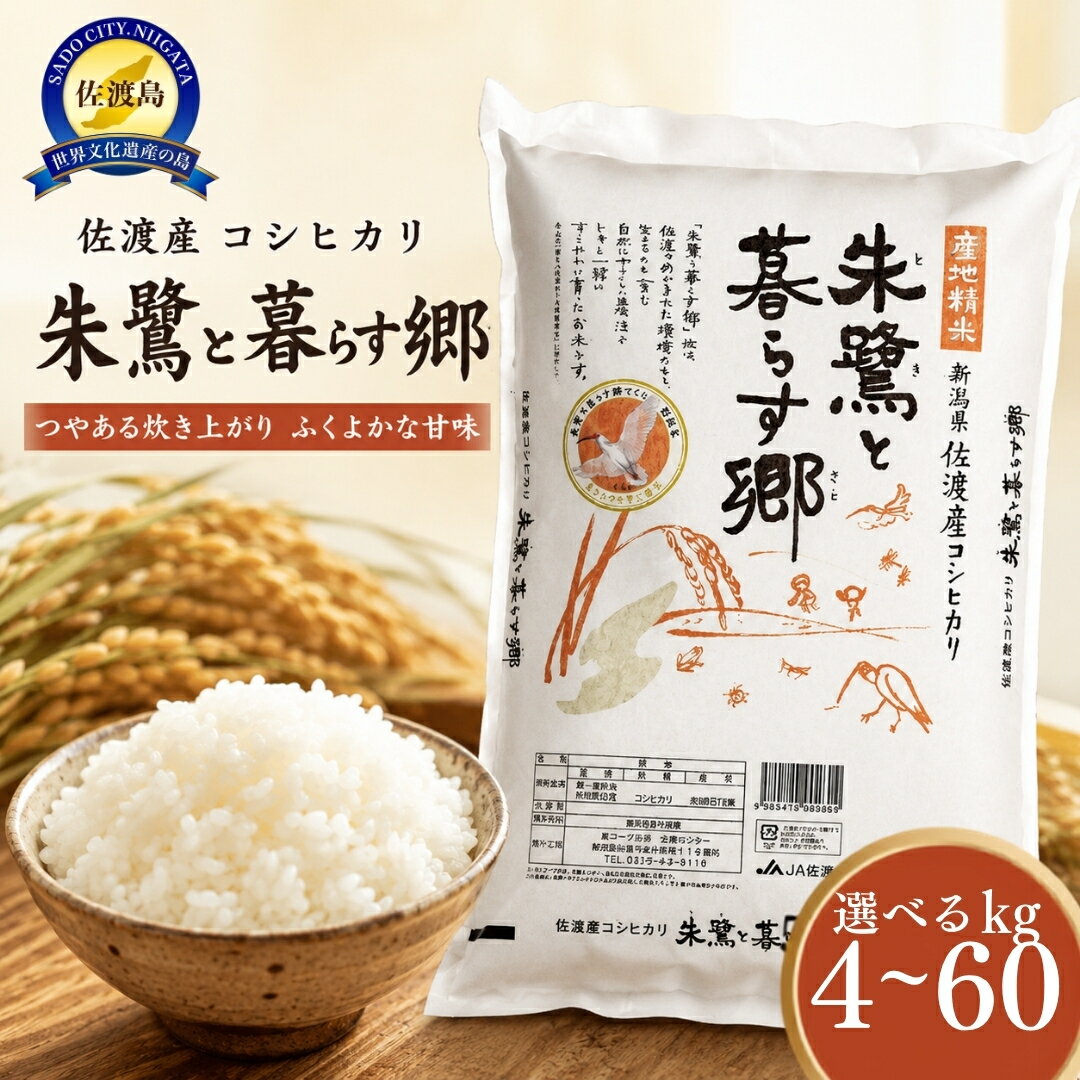 【ふるさと納税】米 コシヒカリ 4kg 5kg 10kg 20kg 定期便 選べる 令和7年産 朱鷺と暮らす郷 認証米 佐渡産 コープ佐渡 こしひかり 白米 ごはん おにぎり 新潟県 佐渡市