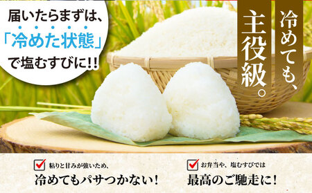 【6回定期便】令和8年産 コシヒカリ 10kg 定期便 精米 白米
