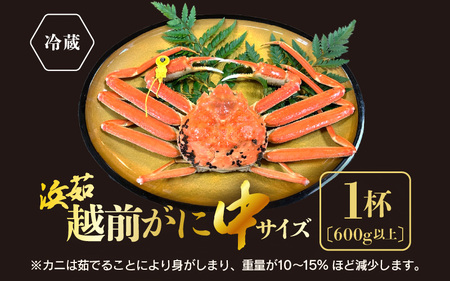 ≪浜茹で≫越前がに 中サイズ 1杯（生で600g以上）【2月発送分】【雄 ズワイガニ かに カニ 蟹 越前ガニ 姿 ボイル 冷蔵 福井県】希望日指定可 備考欄に希望日をご記入ください [e68-x00