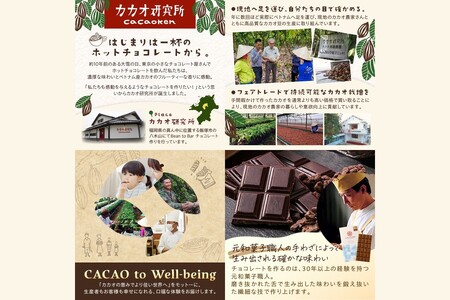 カカオ研究所のチョコレートセット(13枚)チョコレート 板チョコレート ビーントゥバー Bean to Bar カカオ 福岡 飯塚【E-089】