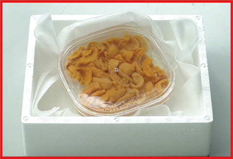 エゾバフンウニ(黄色)塩水パック100～110g×1P C-07021