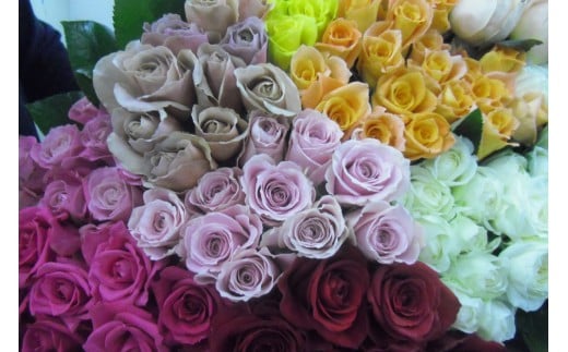 前橋産バラ (お任せ20本)｜ばら バラ 花 プレゼント 贈答 群馬県 前橋市