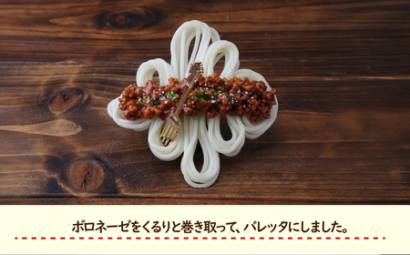 食品サンプル 飾り結びみたいなボロネーゼのバレッタ | 食品サンプル 髪留め 髪飾り 畑中 埼玉県 所沢市