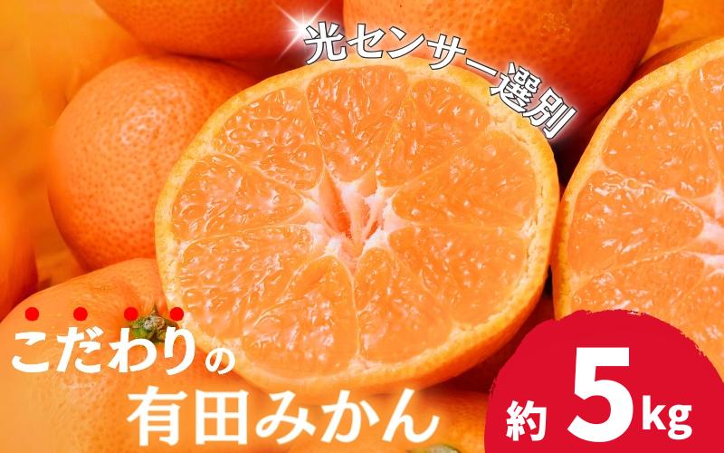 
＼光センサー選別／ 【農家直送】【家庭用】こだわりの有田みかん 約5kg＋150g(傷み補償分) 先行予約 有機質肥料100% サイズ混合 【11月･12月･1月から選択可能】 みかん ミカン 有田みかん 温州みかん 柑橘 有田 和歌山 ※北海道・沖縄・離島配送不可 【nuk160】
