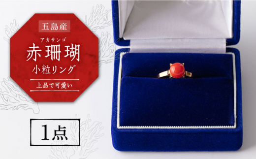 【上品でかわいい赤珊瑚リング】五島産 赤珊瑚 小粒リング  限定 アクセサリー 指輪 五島市/出口さんご [PBK025]