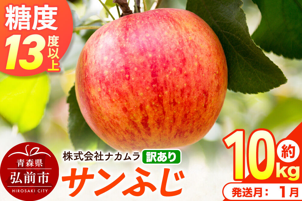 【27年1月発送】りんご サンふじ【訳あり】約10kg（28〜46玉程度）糖度13度以上 先行受付 青森県産 林檎 リンゴ 果物 くだもの フルーツ 青森県 弘前市 不揃い 規格外 [先行予約 産地直送 家庭用 アップル おいしい ふじ 果実 美味 甘い]