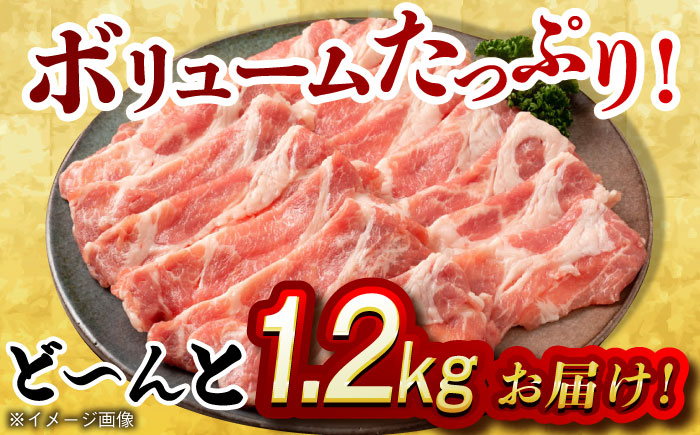 肉 豚 ぶた ブタ 豚肉 小分け 西海市 長崎 九州