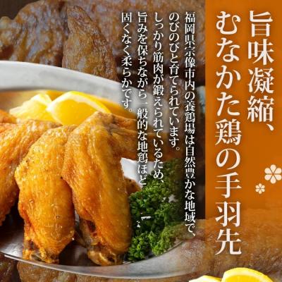 ふるさと納税 古賀市 手羽先カリカリ揚げ(醤油味・塩味)20本(5本入り×各2袋) |  | 01