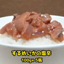 【ふるさと納税】 イカの塩辛 一本造り 瓶入り 100g×5本 千葉県 南房総市 ご飯 おかず お酒のお供 相性抜群 肉厚 するめいか 唐辛子不使用 珍味 魚介類 加工食品 冷凍 お取り寄せ グルメ 送料無料